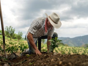 Atención Pequeños Agricultores