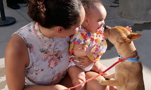 A mom and baby meet a new dog