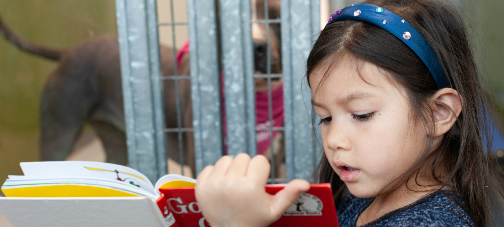Young girl reading to dog, pet education program, pet adoption event