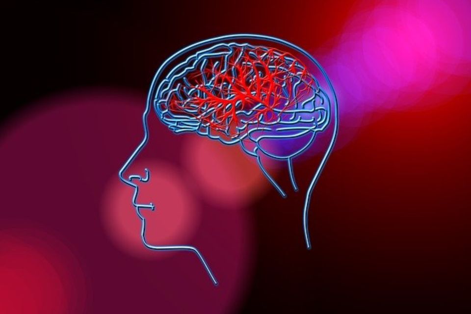 Día Mundial de Lucha Contra la Enfermedad Cerebrovascular