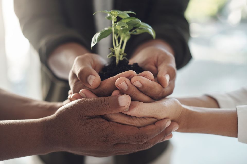 MAPFRE reduce su huella de carbono global