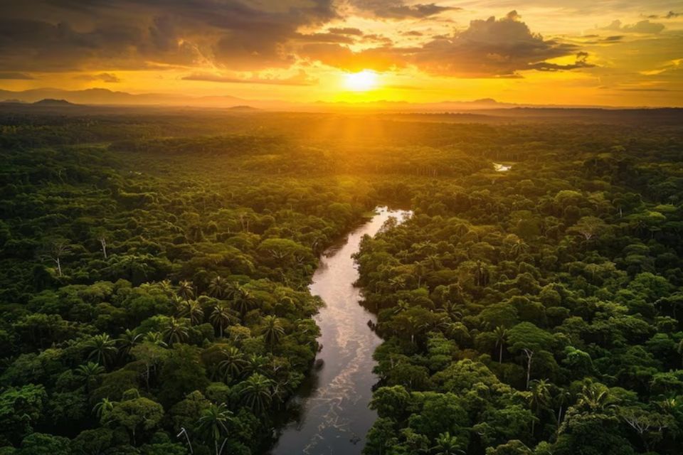 Natura crea una alianza sin precedentes con sus proveedores para acelerar las prácticas regenerativas