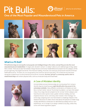 Pitbulls: One of the Most Popular and Misunderstood Pets in America - Brochure