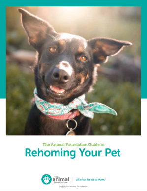 The Animal Foundation Guide to Rehoming Your Pet
