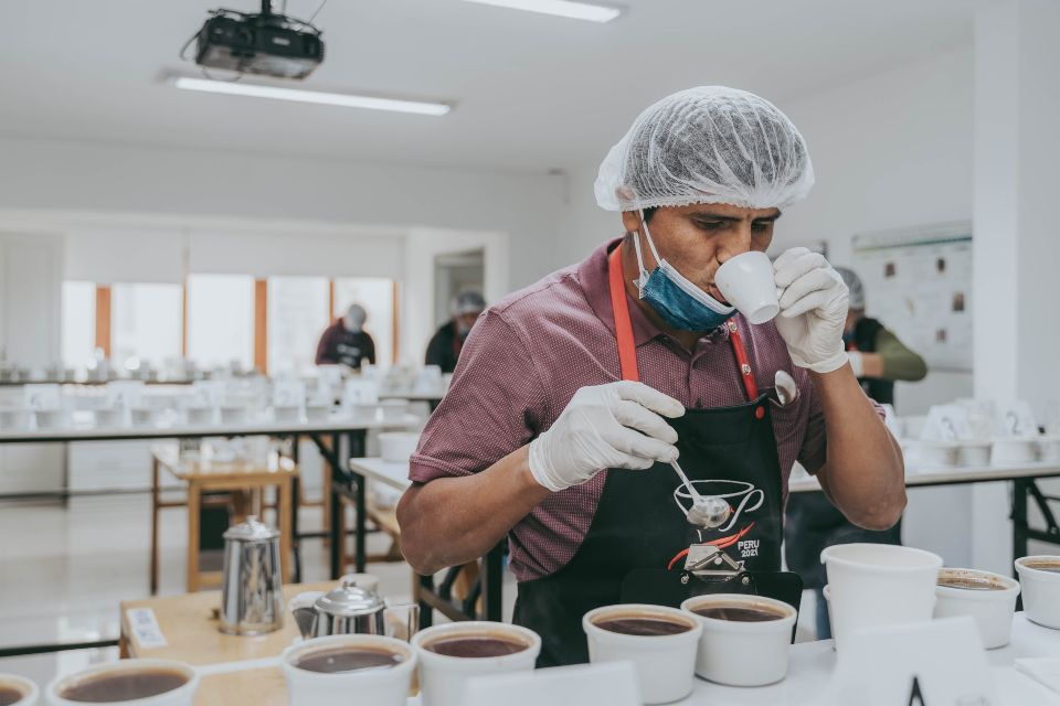 competencia que busca el mejor café del país