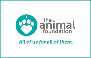 The Animal Foundation to Provide Walk-In Pet Food Assistance Friday, June 25 From 10am - 2pm