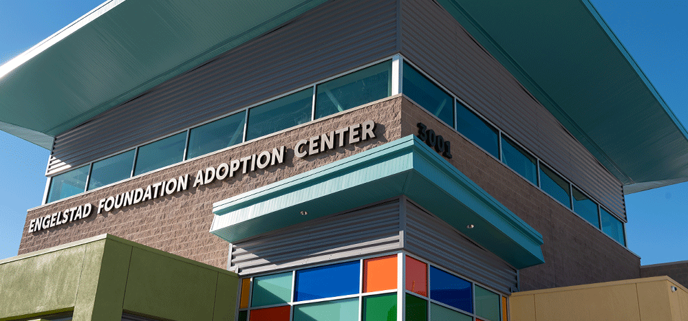 Englestad Adoption Building at The Animal Foundation campus