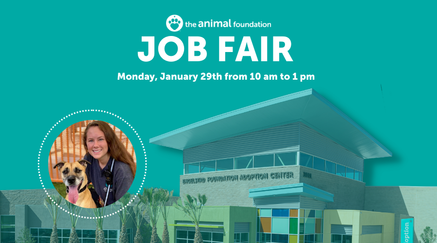 The Animal Foundation Job Fair
